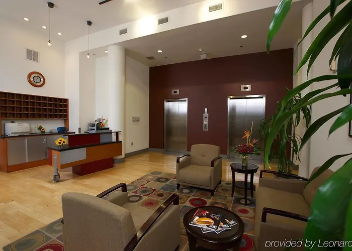 The Lofts